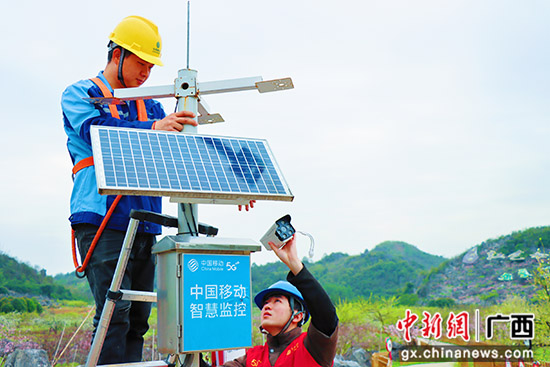 桂林移动工作人员在果园安防视频摄像头。 文俨惠 摄